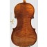 Leonidas Nadegini violin