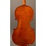 Paul Bisch violino