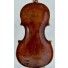 Giovanni Piva violino, Italian violin