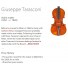 Giuseppe-Tarasconi-violin-price