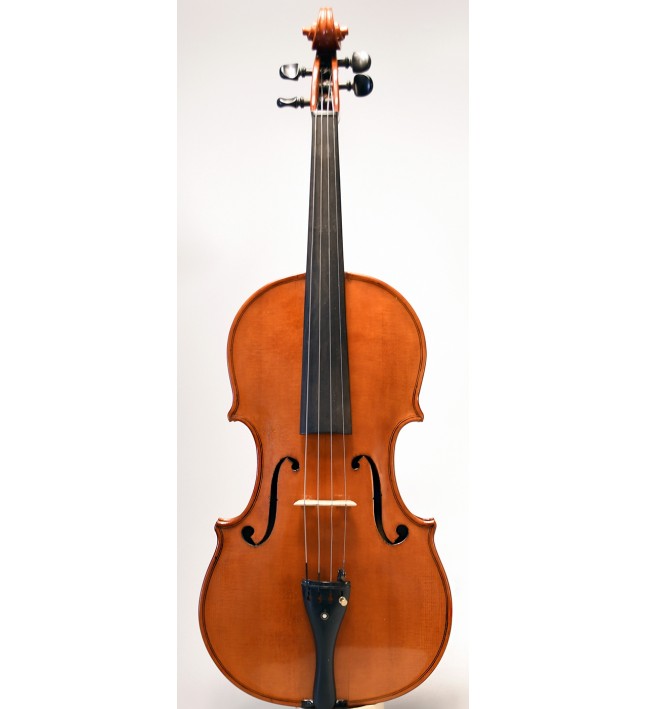 Amedeo Berganton viola