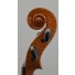 Guiseppe Tarasconi violin scroll