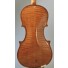 Guiseppe Tarasconi violin back