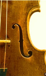 German violins for sale